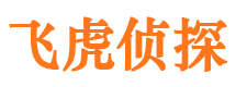 怀宁市侦探调查公司